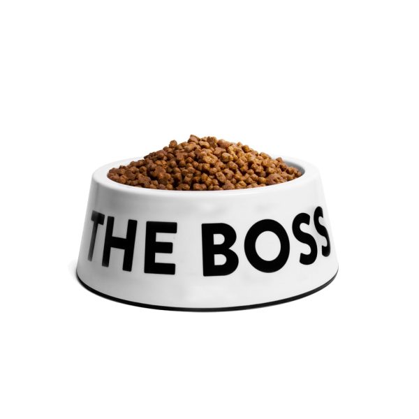 Zee.Dog I'M The Boss White Bowl Large