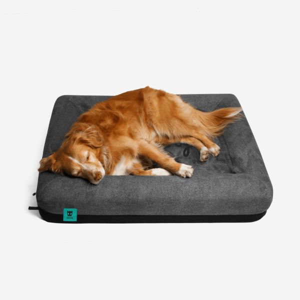 Zee.Bed Skull 2.0 Talla L - Image 2